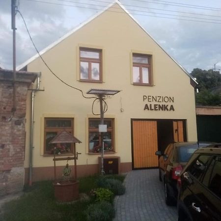 Penzion Alenka Valtice Buitenkant foto