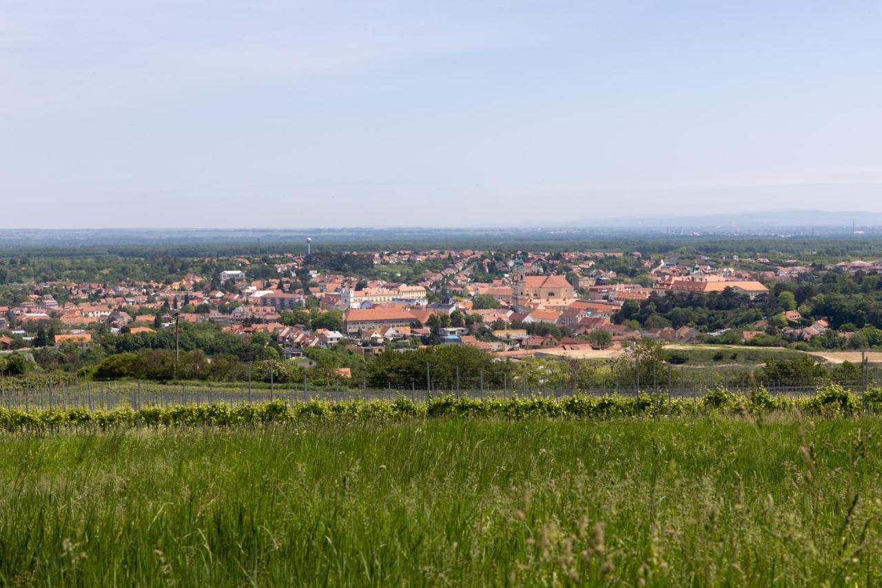 Penzion Alenka Valtice Buitenkant foto