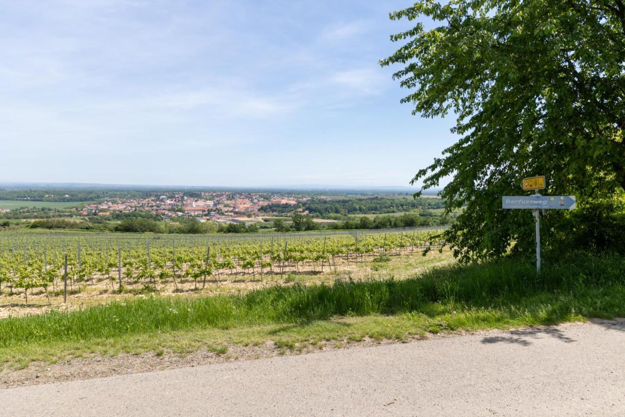 Penzion Alenka Valtice Buitenkant foto